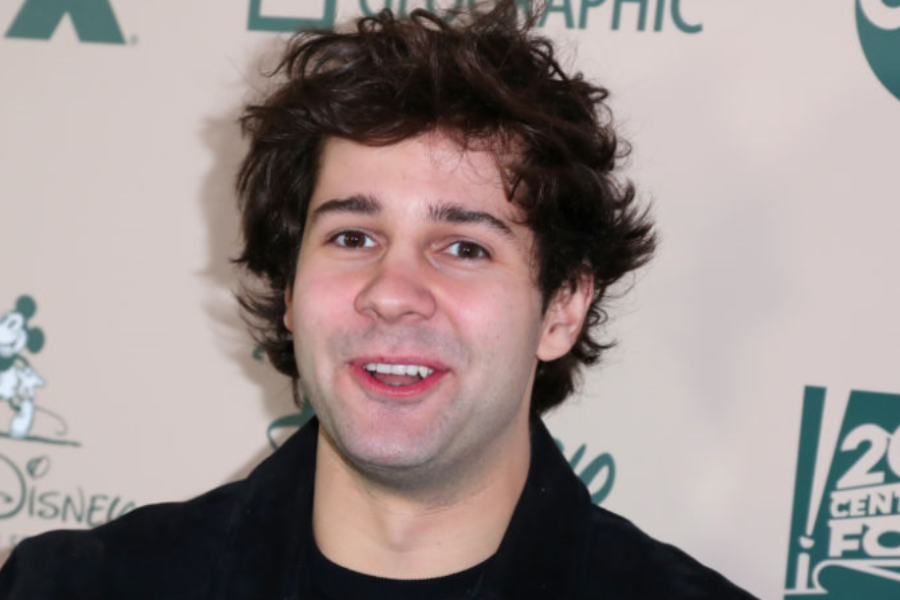 david dobrik's net worth