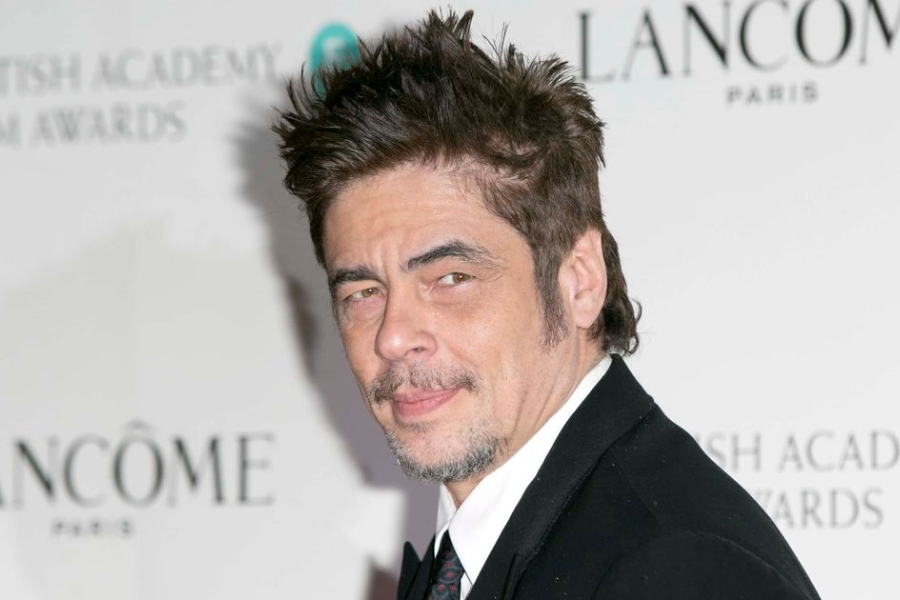 Benicio Del Toro’s net worth