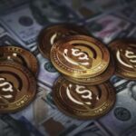 Business RobTheCoins