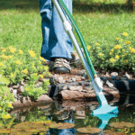 Cleaner Pond