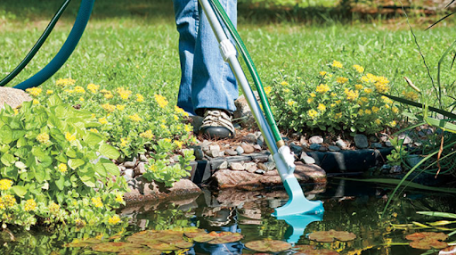 Cleaner Pond